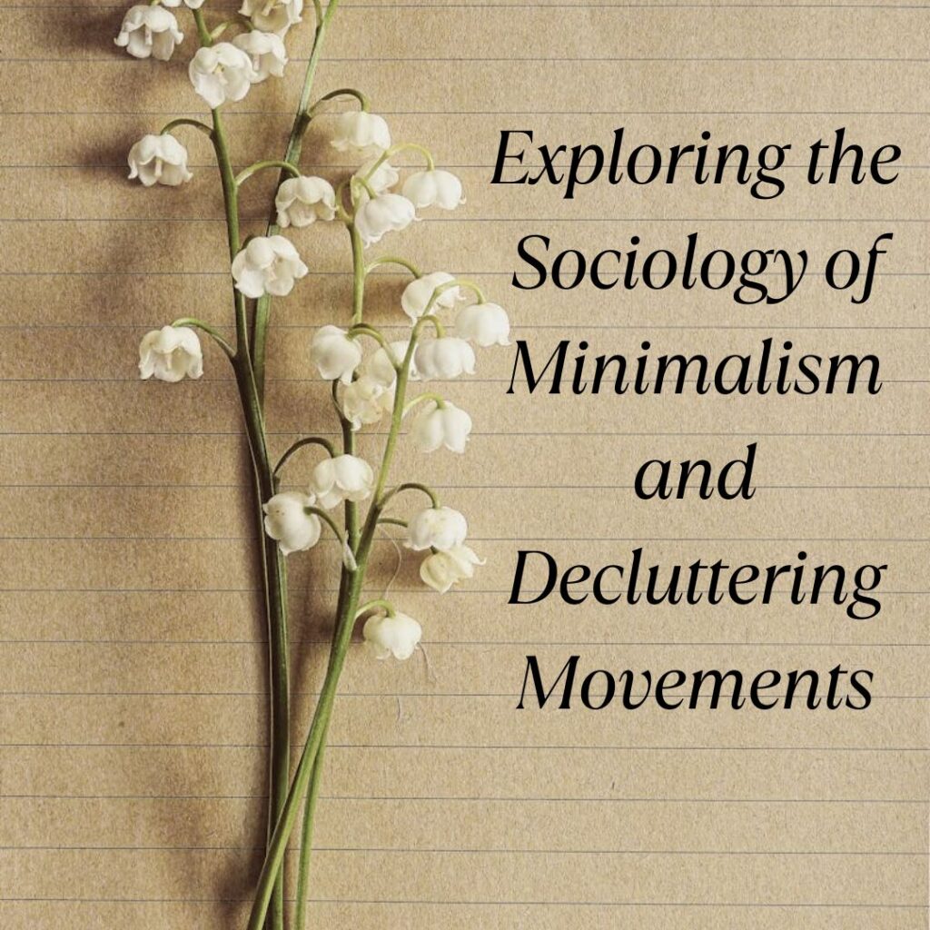 minimalism sociology