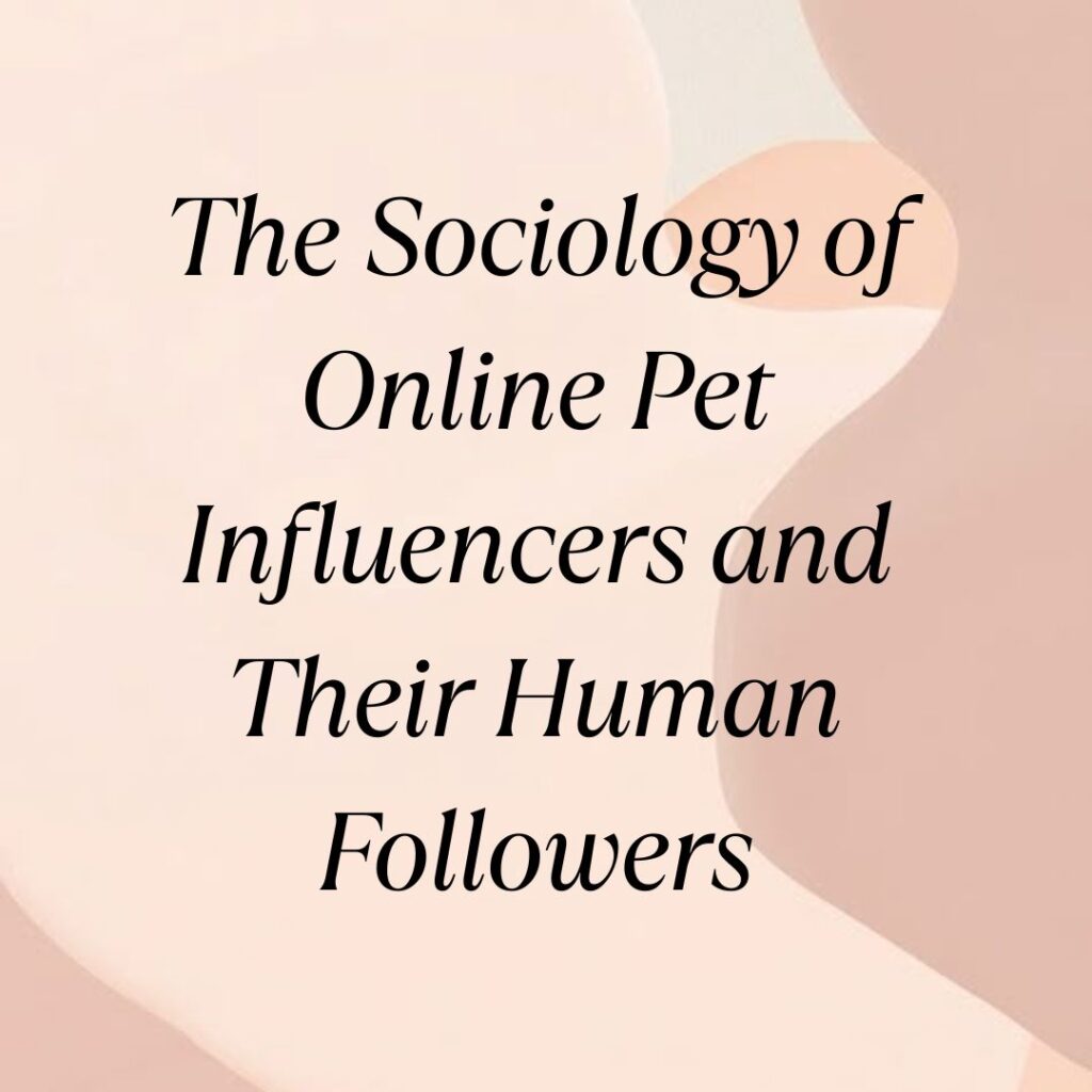 pet influencers
